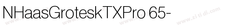 NHaasGroteskTXPro 65字体转换